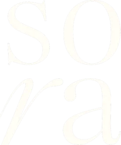 Sora Studio app